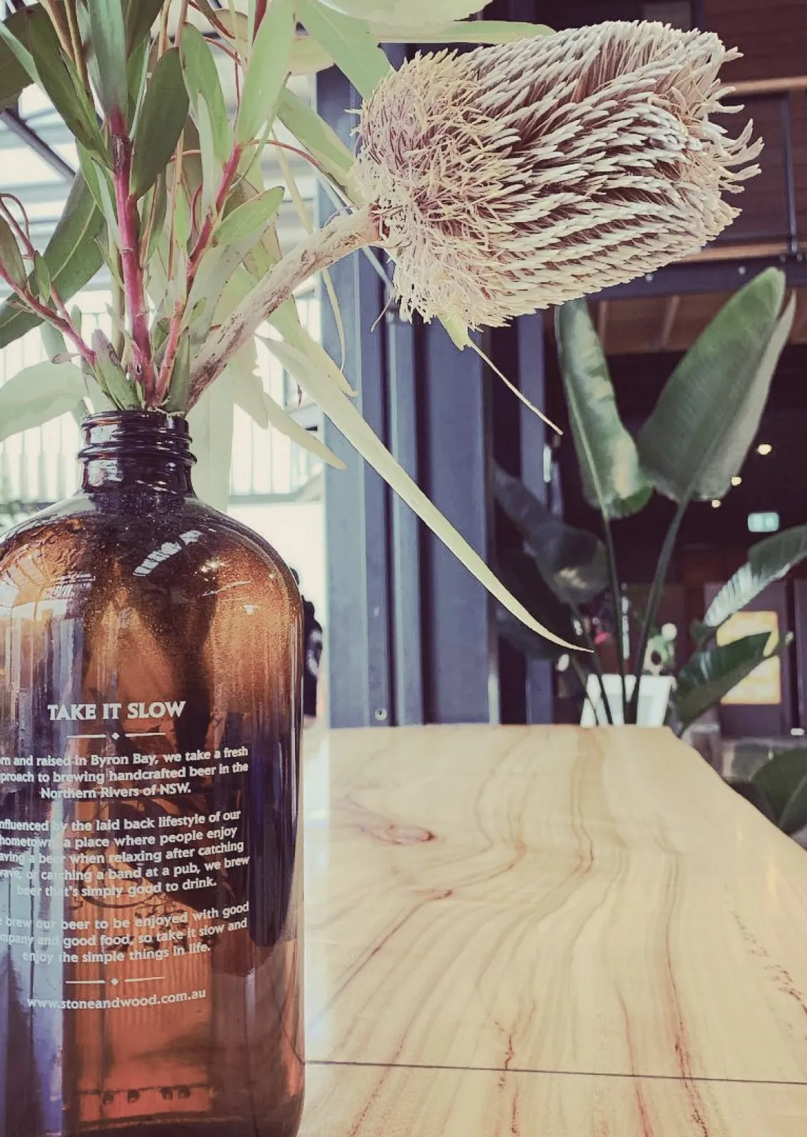 A dried Banksia flower in a 'TAKE IT SLOW' inscribed brown bottle on a wooden table, in a cafe setting